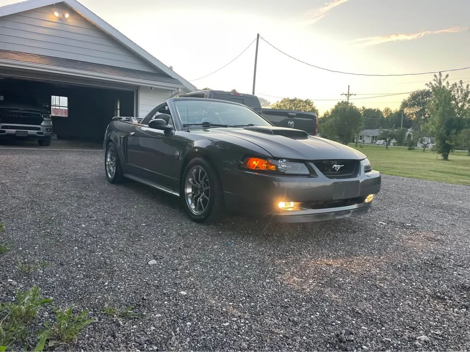 2004 Ford SN95 Mustang - Image 4 of 8