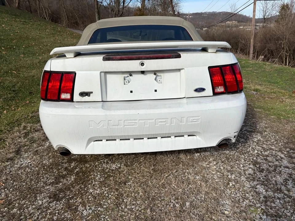 2004 Ford SN95 Mustang - Image 4 of 7