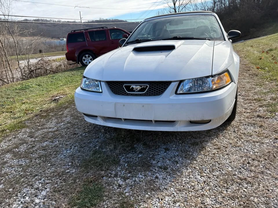 2004 Ford SN95 Mustang - Image 2 of 7