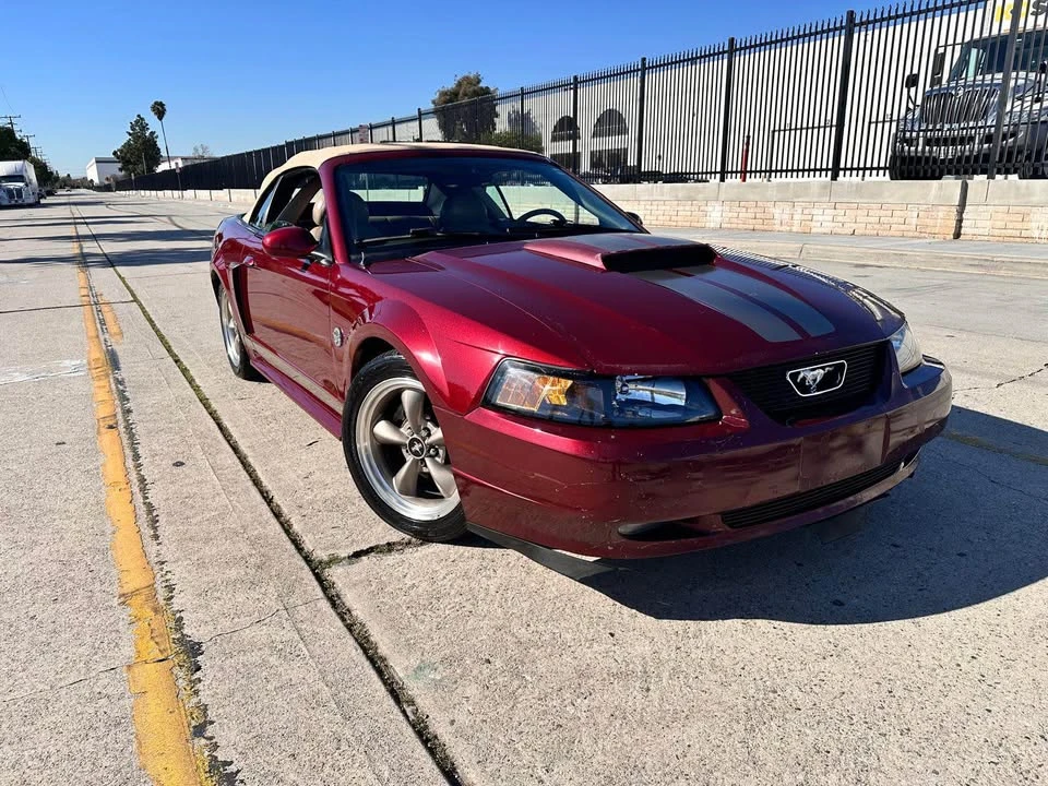 2004 Ford SN95 Mustang - Image 6 of 14