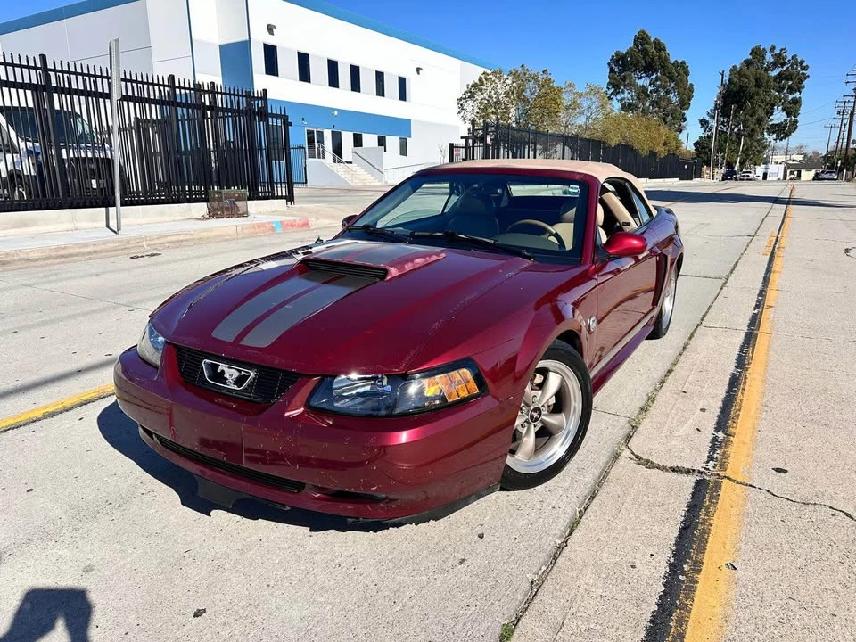 2004 Ford SN95 Mustang - Image 3 of 14