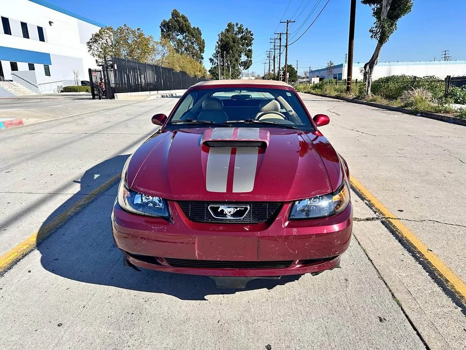 2004 Ford SN95 Mustang - Image 2 of 14