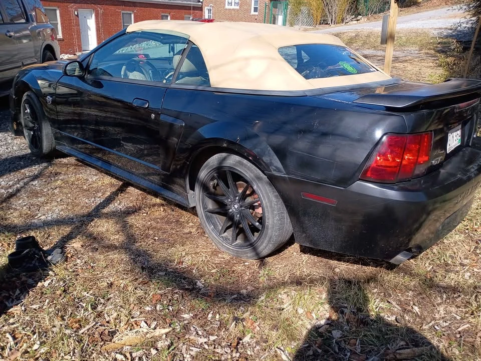 2004 Ford SN95 Mustang - Image 3 of 4