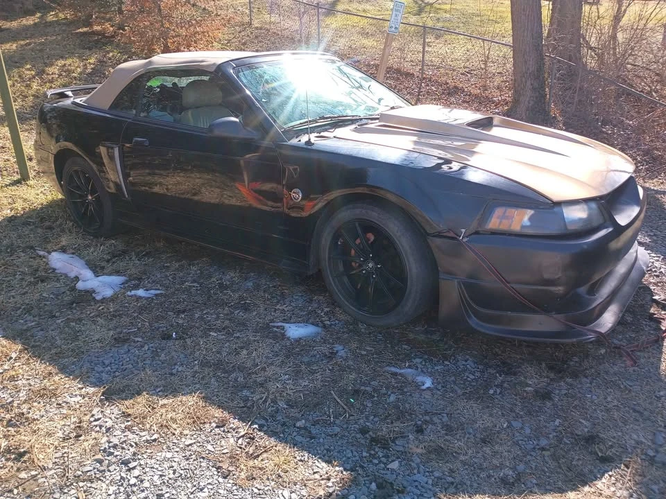 2004 Ford SN95 Mustang - Image 2 of 4