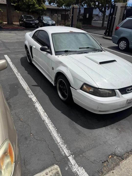 2004 Ford SN95 Mustang - Image 2 of 6