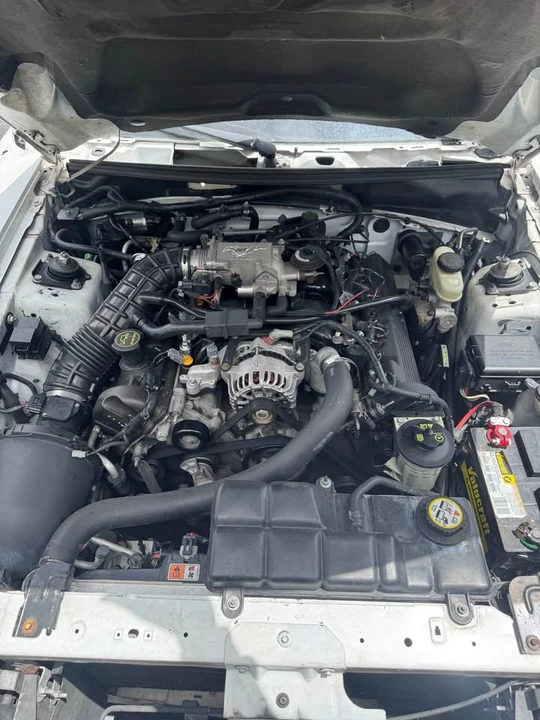 2004 Ford SN95 Mustang - Image 5 of 6