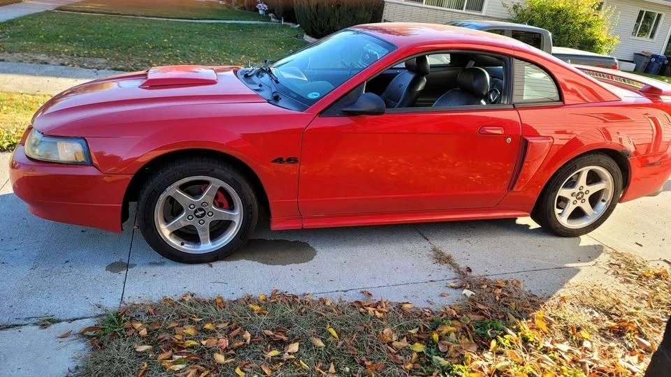 2004 Ford SN95 Mustang - Image 5 of 14