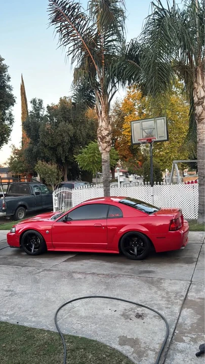 2004 Ford SN95 Mustang - Image 8 of 10