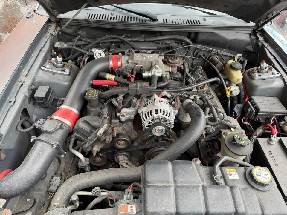 2004 Ford SN95 Mustang - Image 12 of 17