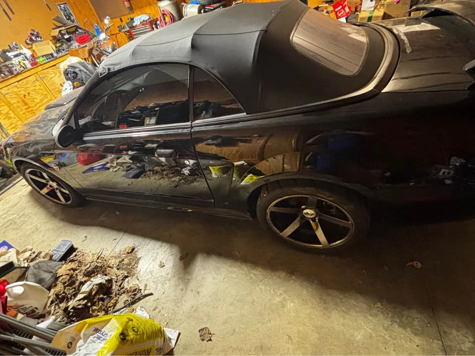 2004 Ford SN95 Mustang - Image 4 of 18