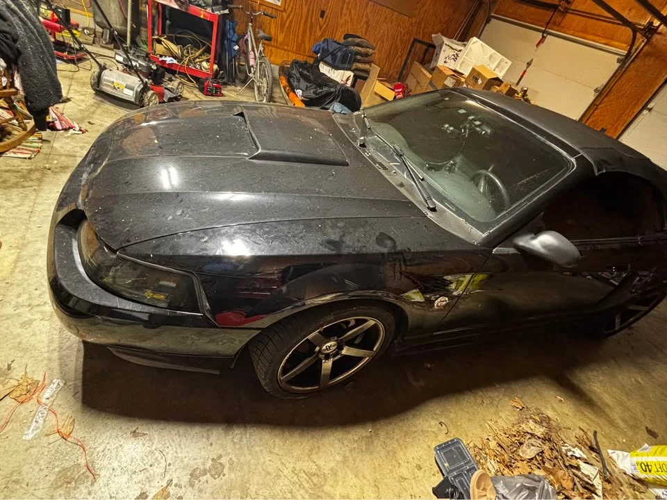 2004 Ford SN95 Mustang - Image 5 of 18
