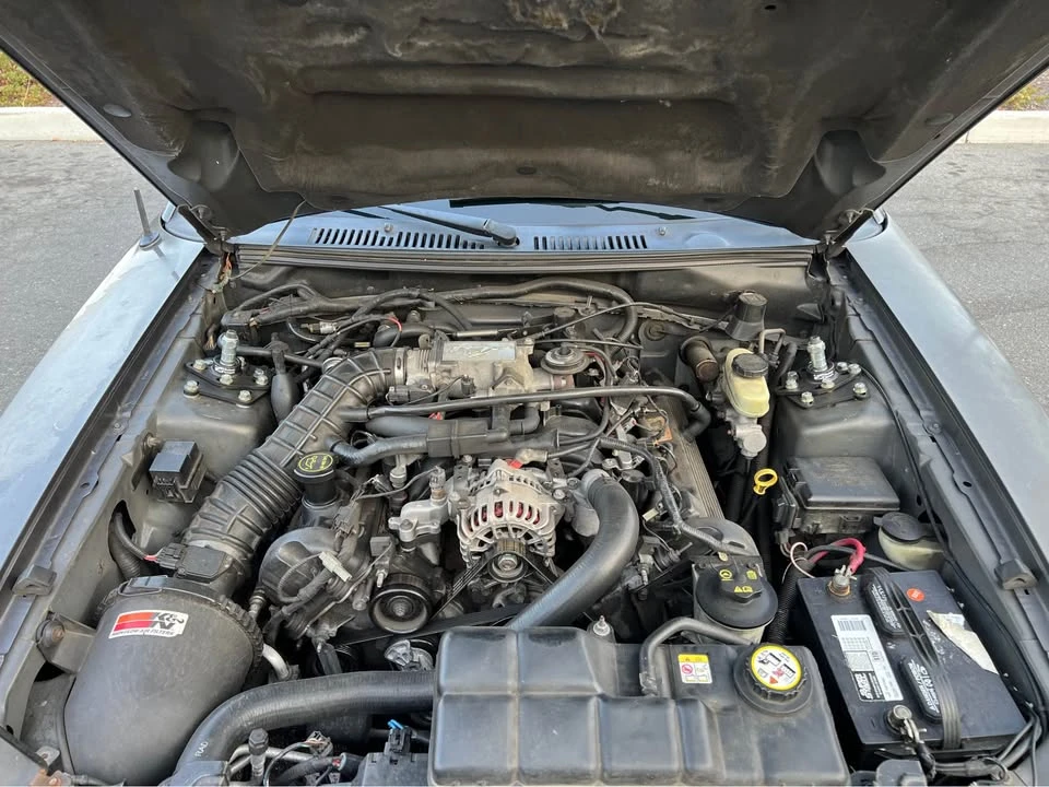 2004 Ford SN95 Mustang - Image 13 of 16