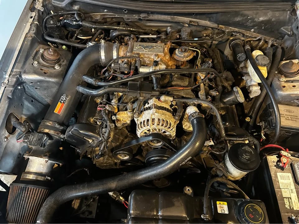 2004 Ford SN95 Mustang - Image 10 of 11
