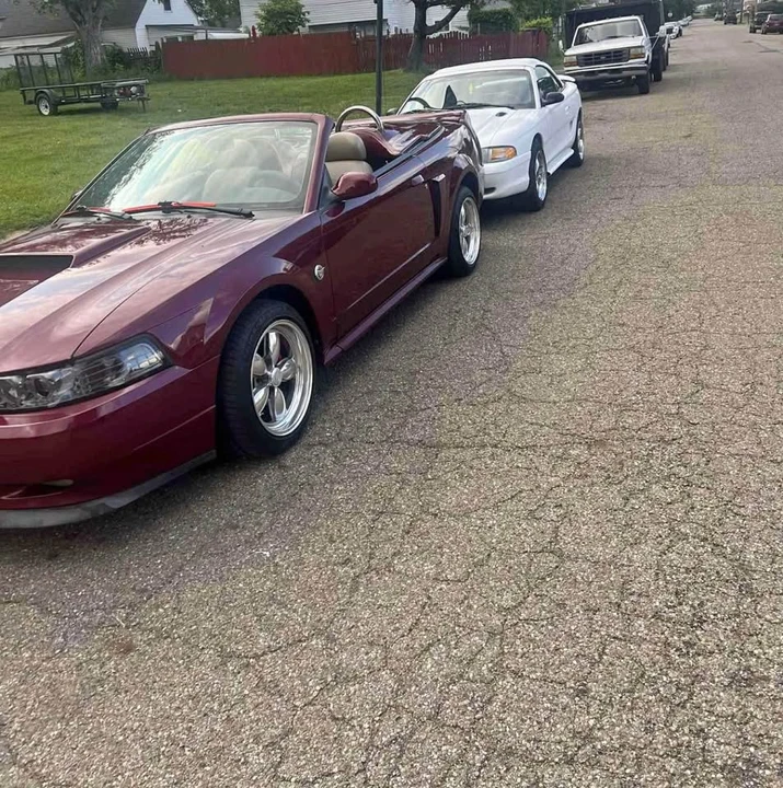 2004 Ford SN95 Mustang - Image 4 of 5