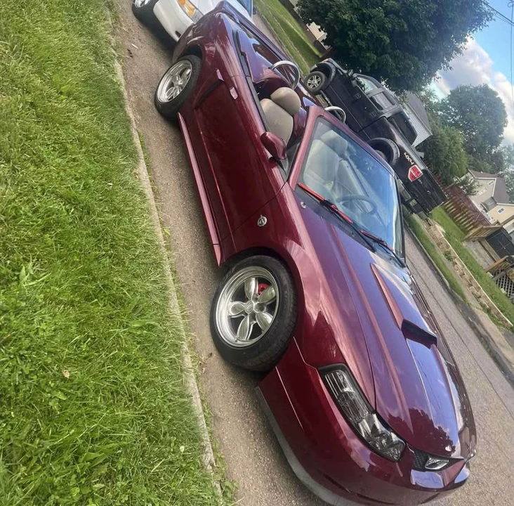2004 Ford SN95 Mustang - Image 5 of 5