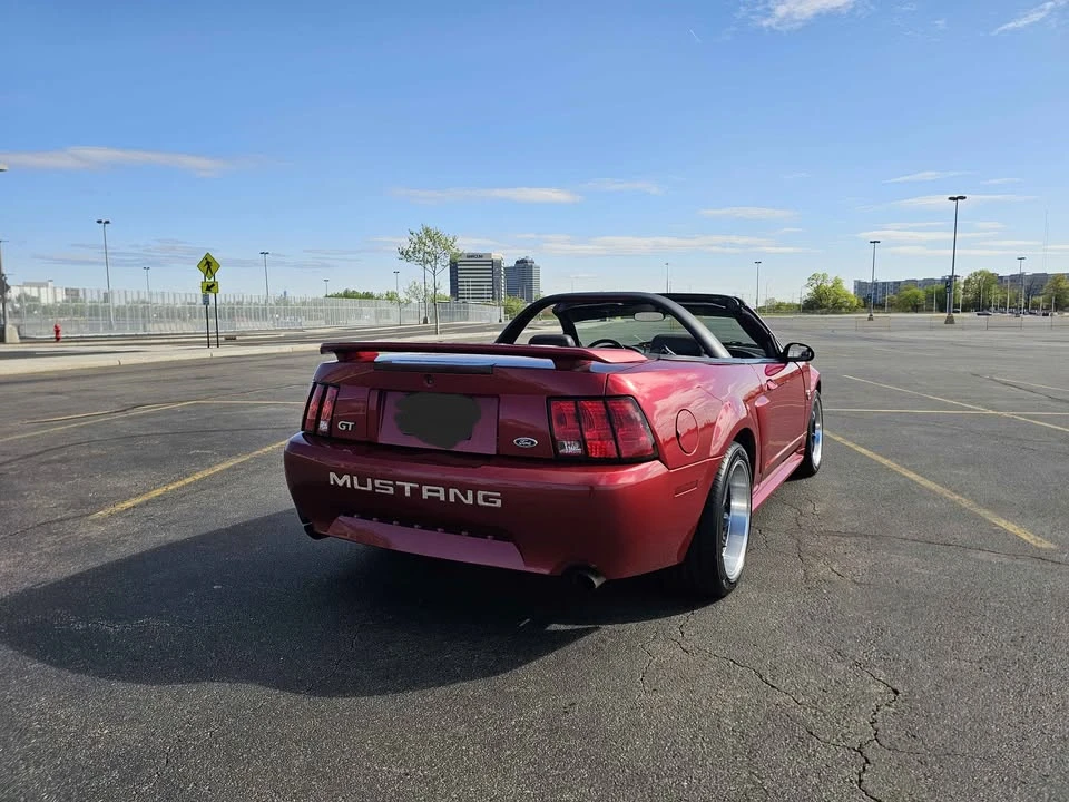 2004 Ford SN95 Mustang - Image 6 of 10