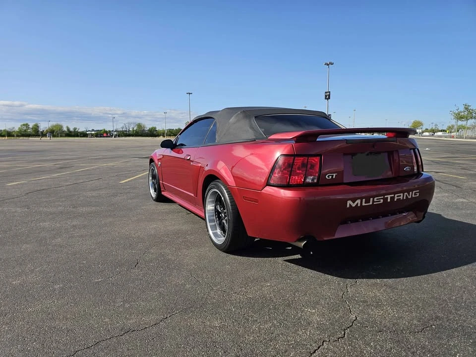2004 Ford SN95 Mustang - Image 3 of 10