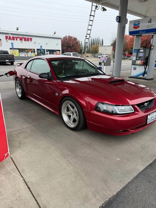 2004 Ford SN95 Mustang - Image 2 of 5