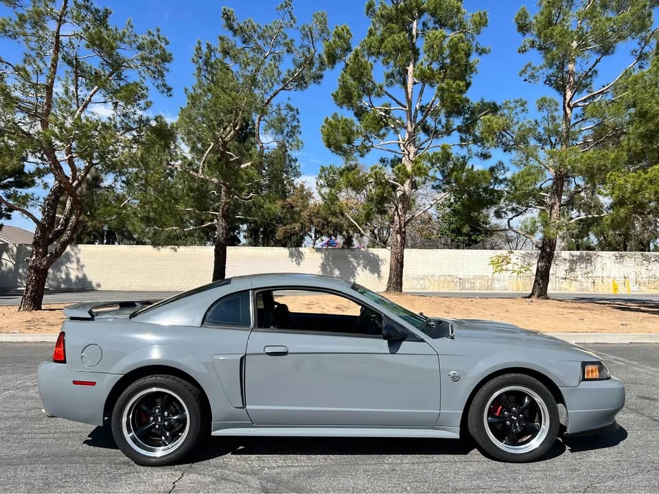 2004 Ford SN95 Mustang - Image 10 of 13