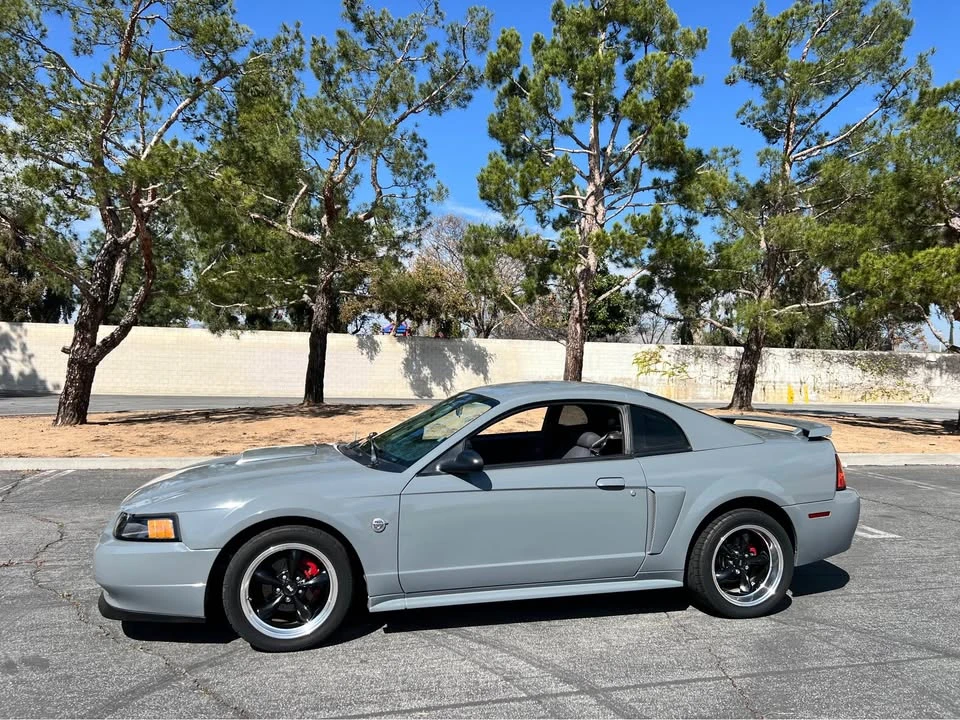 2004 Ford SN95 Mustang - Image 6 of 13