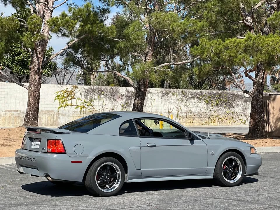 2004 Ford SN95 Mustang - Image 8 of 13