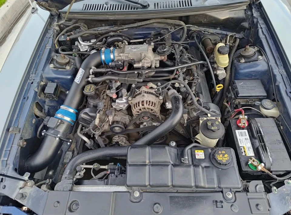 2004 Ford SN95 Mustang - Image 13 of 13