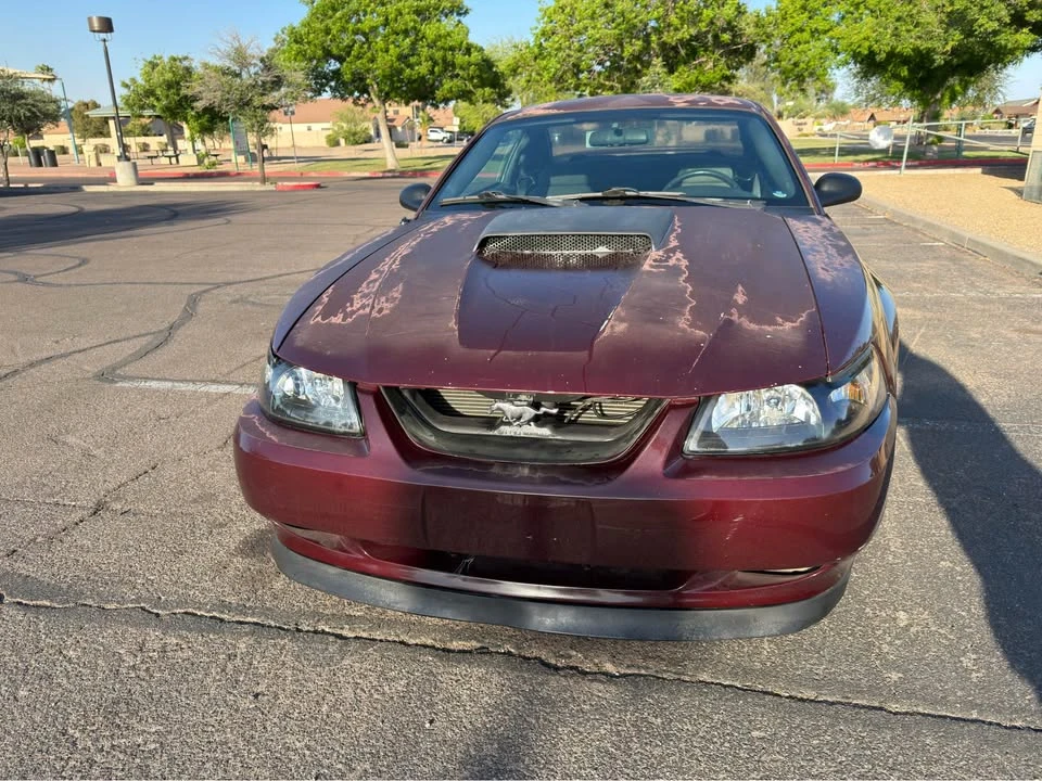 2004 Ford SN95 Mustang - Image 4 of 16