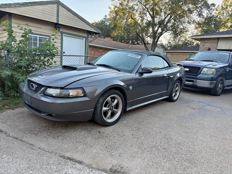 2004 Ford SN95 Mustang - Image 2 of 15