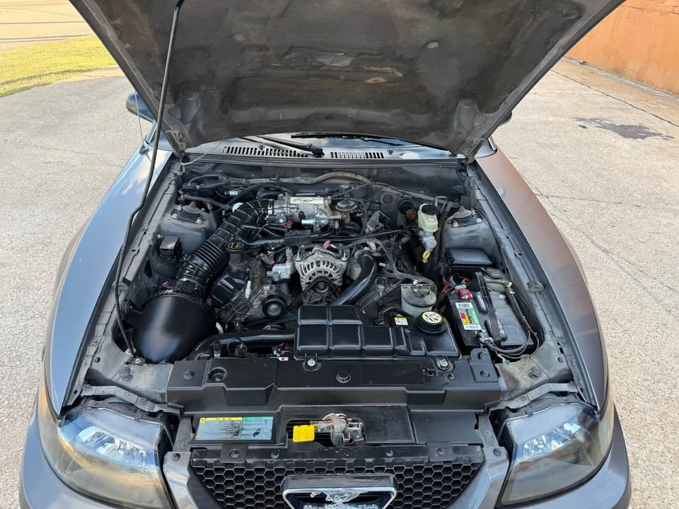 2004 Ford SN95 Mustang - Image 11 of 15