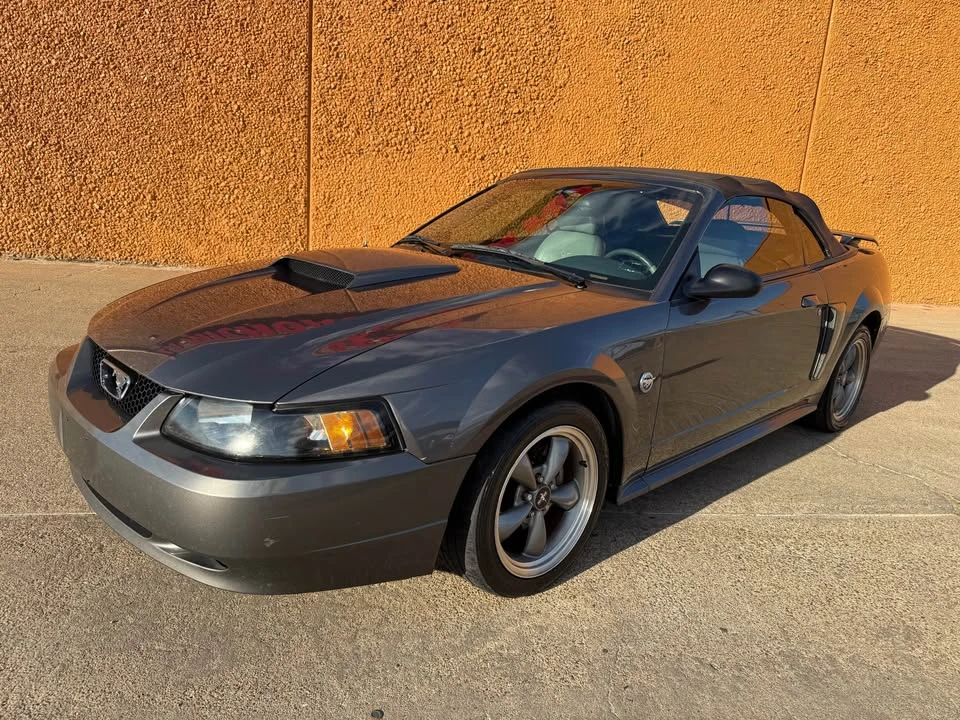 2004 Ford SN95 Mustang - Image 15 of 15