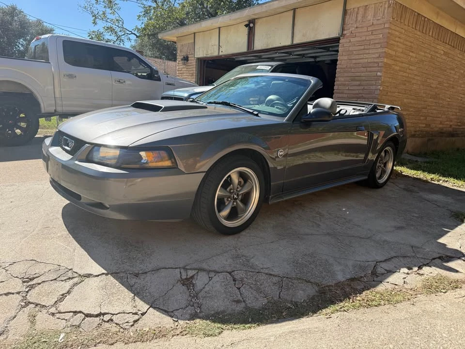 2004 Ford SN95 Mustang - Image 4 of 15