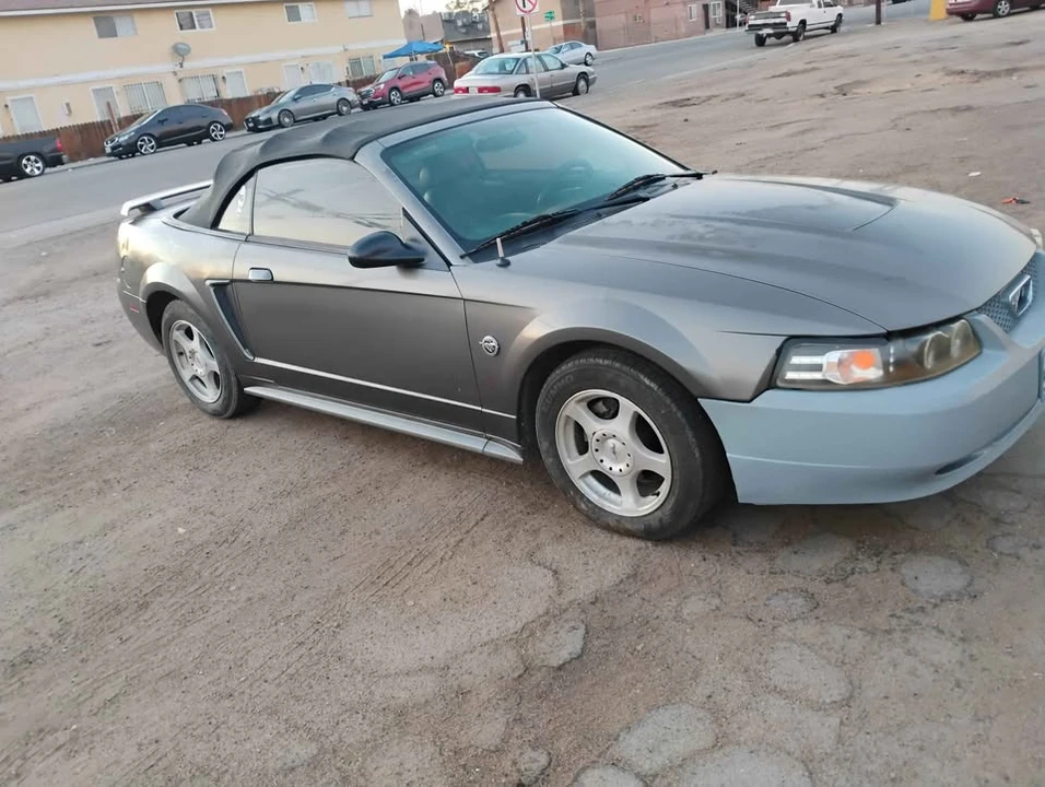2004 Ford SN95 Mustang - Image 2 of 9