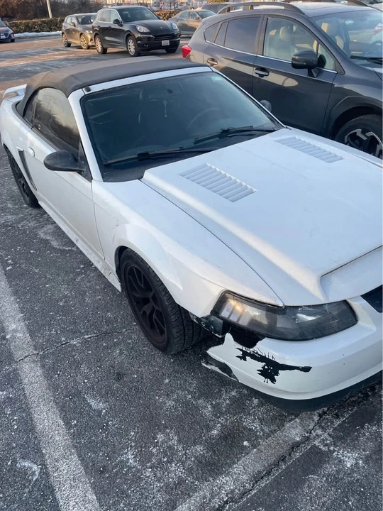2004 Ford SN95 Mustang - Image 5 of 15