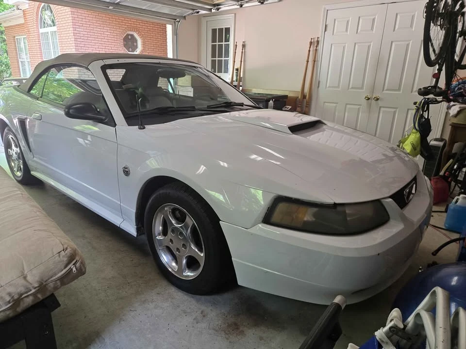2004 Ford SN95 Mustang - Image 8 of 9