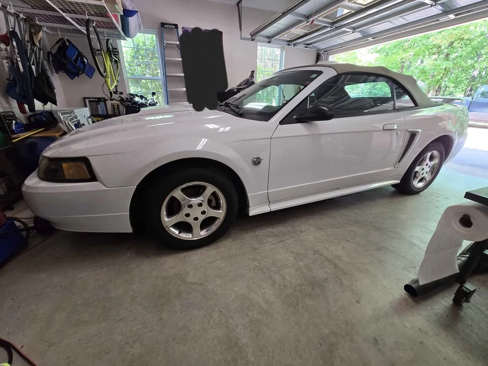 2004 Ford SN95 Mustang - Image 2 of 9