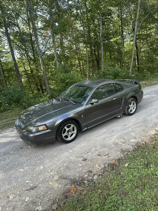 2004 Ford SN95 Mustang - Image 3 of 6