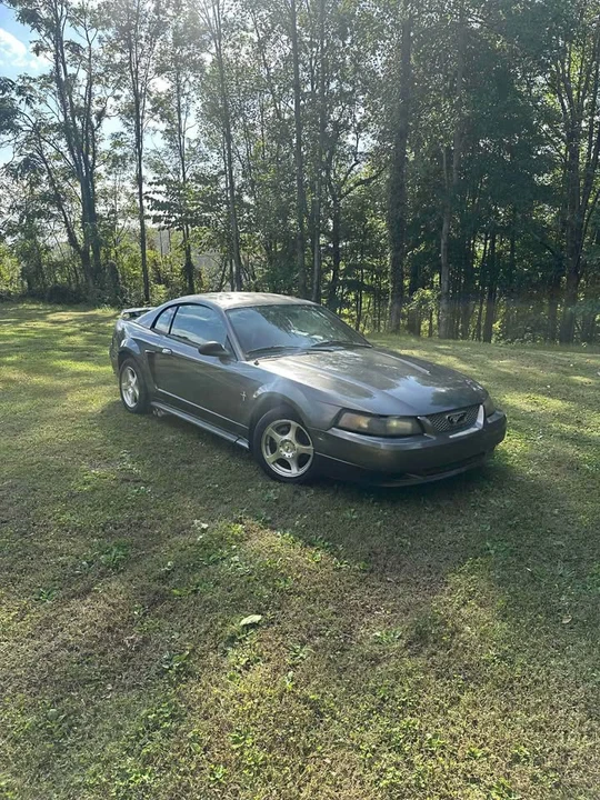 2004 Ford SN95 Mustang - Image 2 of 6