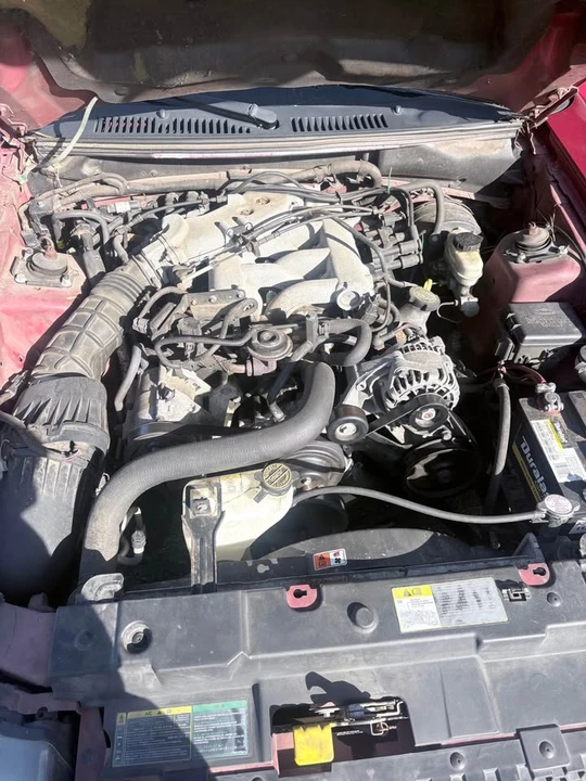 2004 Ford SN95 Mustang - Image 7 of 14