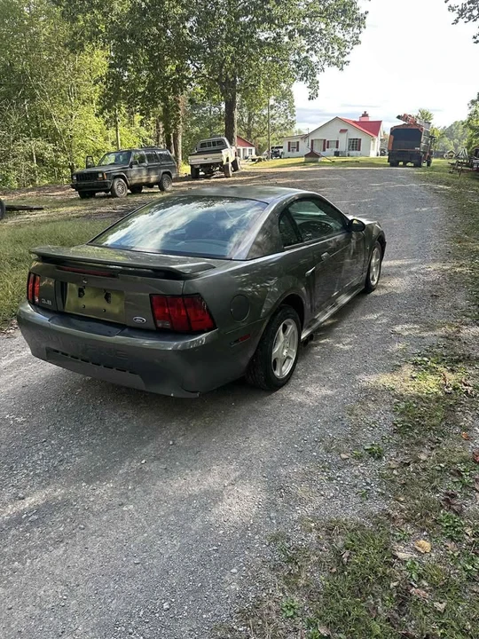 2004 Ford SN95 Mustang - Image 5 of 6