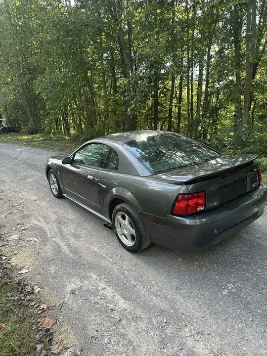 2004 Ford SN95 Mustang - Image 4 of 6