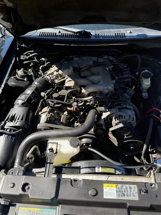 2004 Ford SN95 Mustang - Image 13 of 15