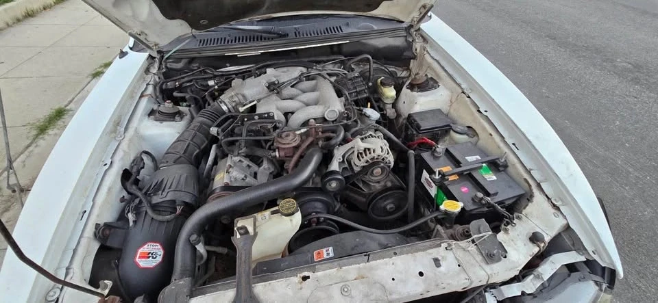 2004 Ford SN95 Mustang - Image 10 of 10