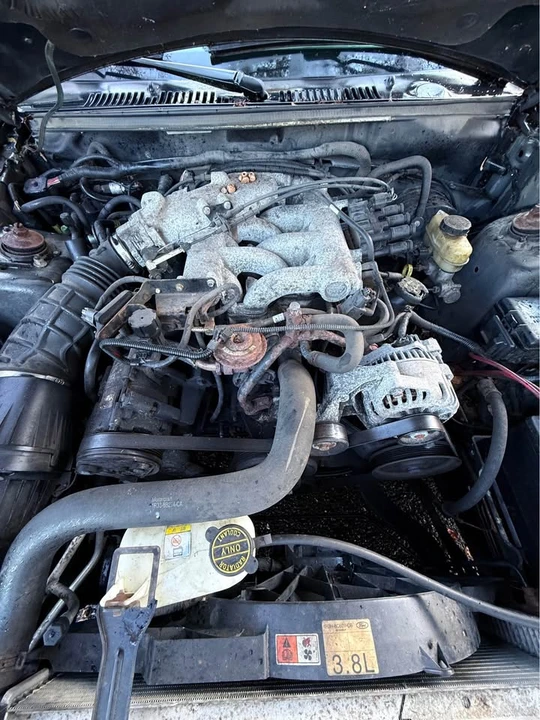 2004 Ford SN95 Mustang - Image 4 of 7