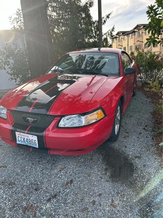 2004 Ford SN95 Mustang - Image 3 of 5