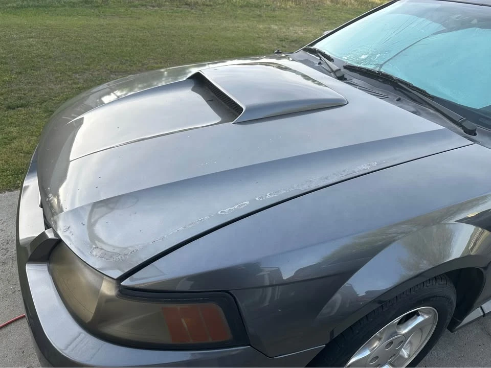 2004 Ford SN95 Mustang - Image 9 of 12
