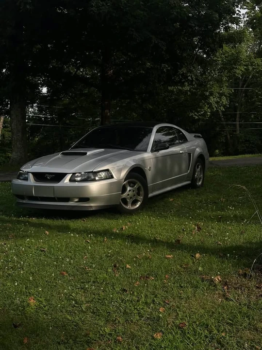 2004 Ford SN95 Mustang - Image 4 of 15