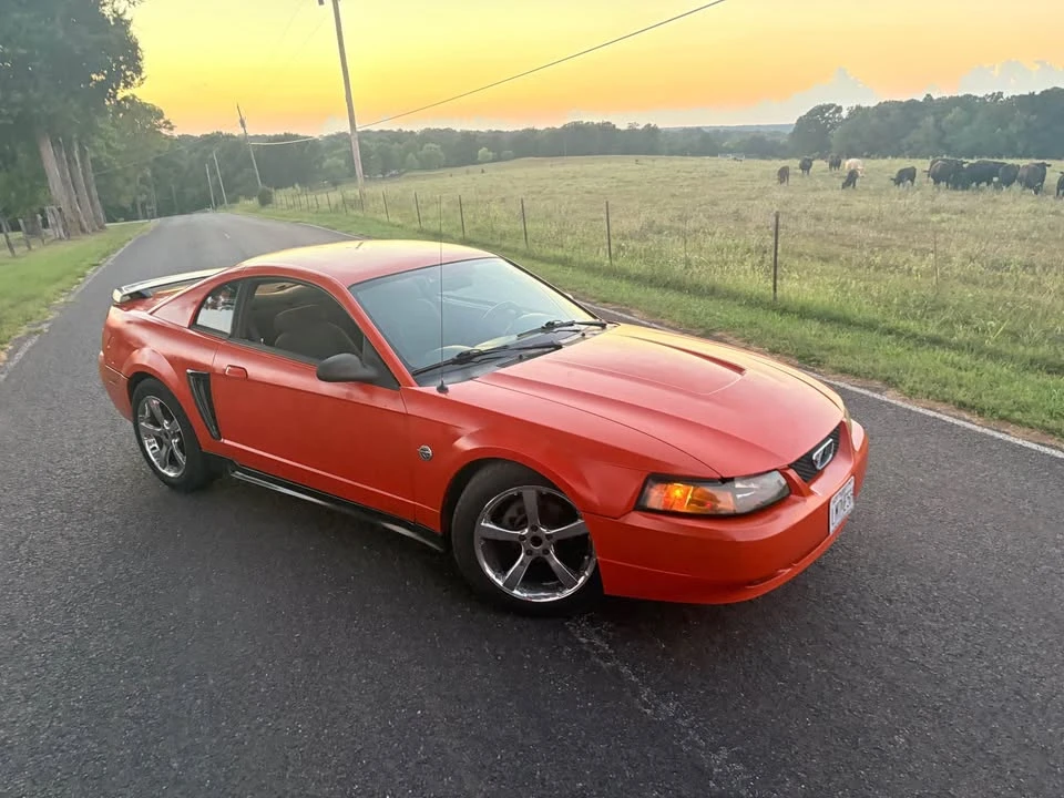 2004 Ford SN95 Mustang - Image 5 of 6