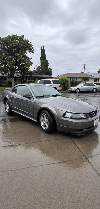 2004 Ford SN95 Mustang - Image 3 of 4