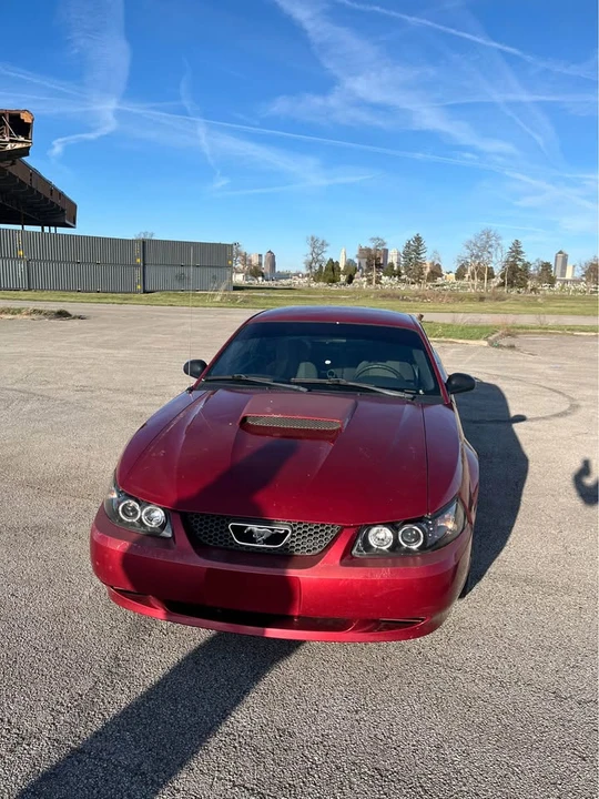 2004 Ford SN95 Mustang - Image 5 of 9