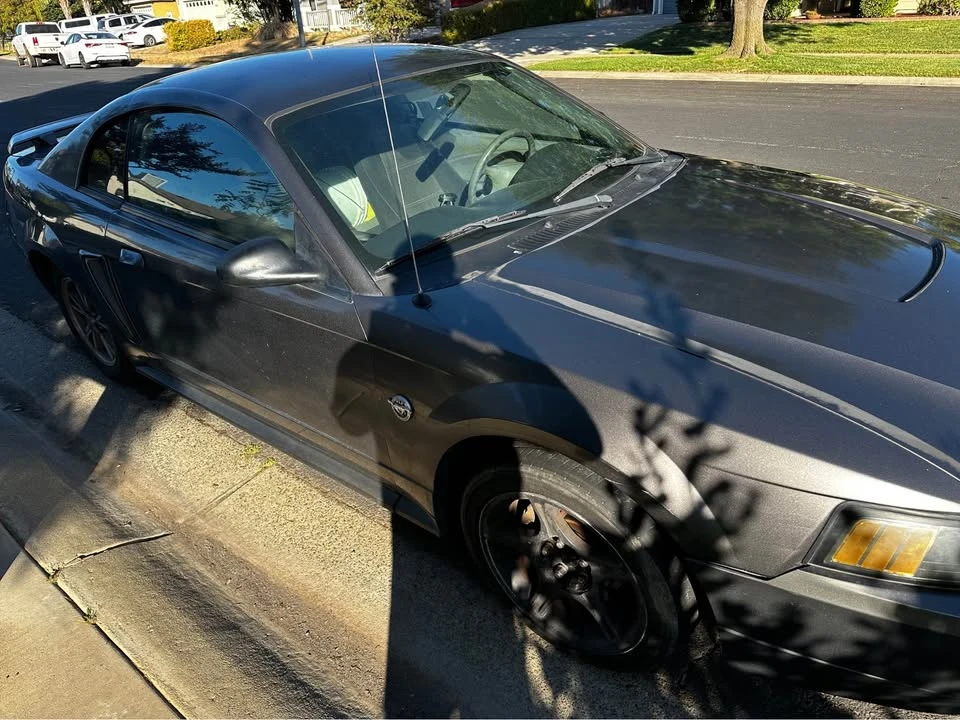 2004 Ford SN95 Mustang - Image 5 of 7